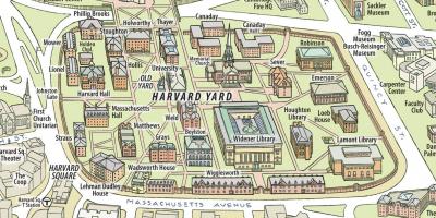Мапа универзитета Харвард